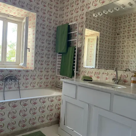 فيلة Charming For Nature Lovers In Theotoky Estate Vineyard And Olive Mill