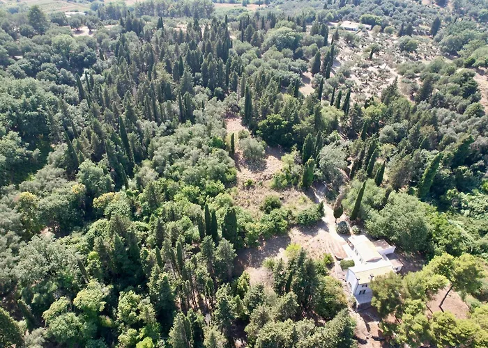 Charming For Nature Lovers In Theotoky Estate Vineyard And Olive Mill Villa