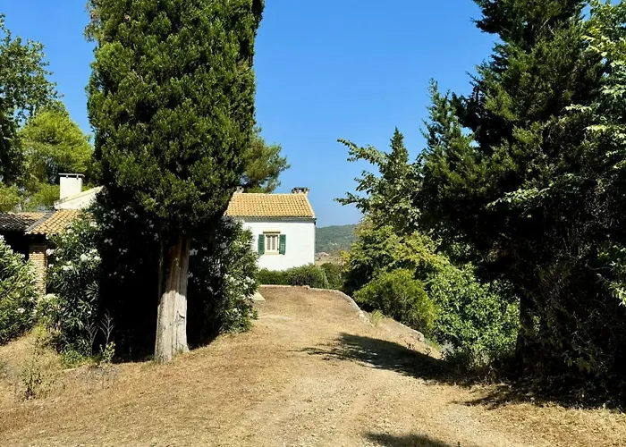 Villa Charming For Nature Lovers In Theotoky Estate Vineyard And Olive Mill
